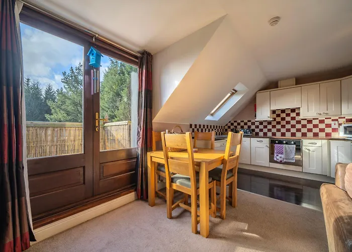 The Bird House - Coastal Lodge In Lovely Forest Setting Nr. Kinsale
