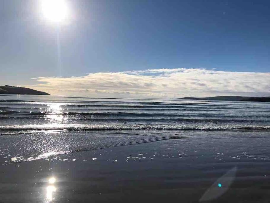 The Bird House - Coastal In Lovely Forest Setting Nr. Kinsale Ferienhaus Cork