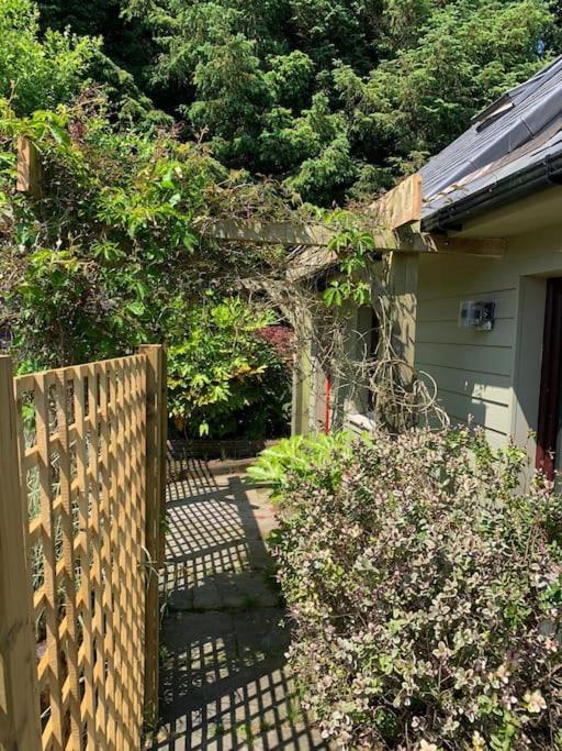 Ferienhaus The Bird House - Coastal In Lovely Forest Setting Nr. Kinsale